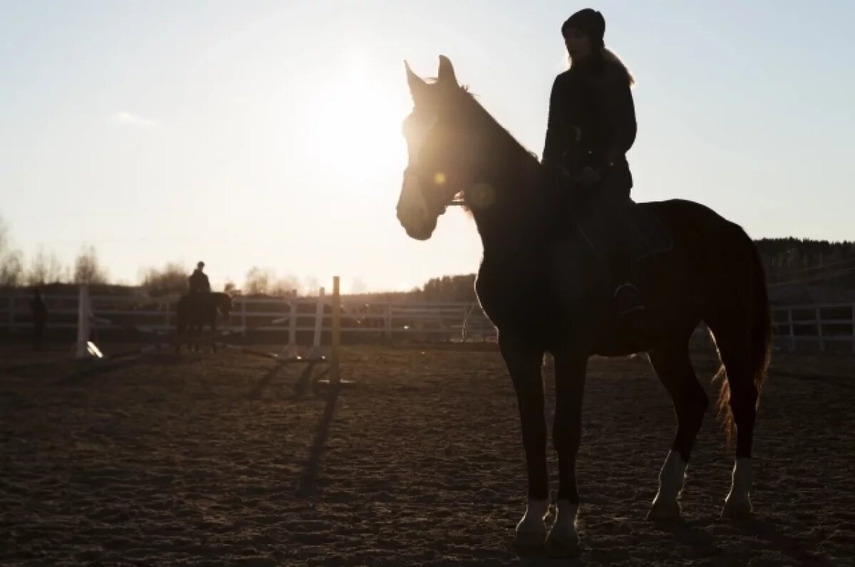    Глава Чувашии наградил победителей конных бегов
