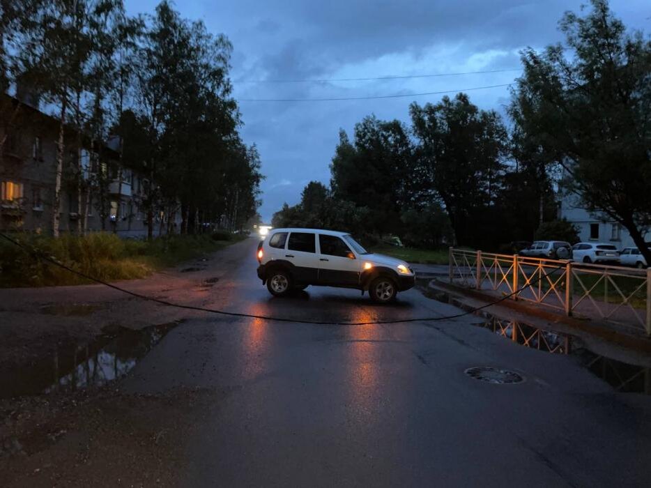 В Острове упавшее дерево оборвало электрокабель
Фото: газета «Островские вести»