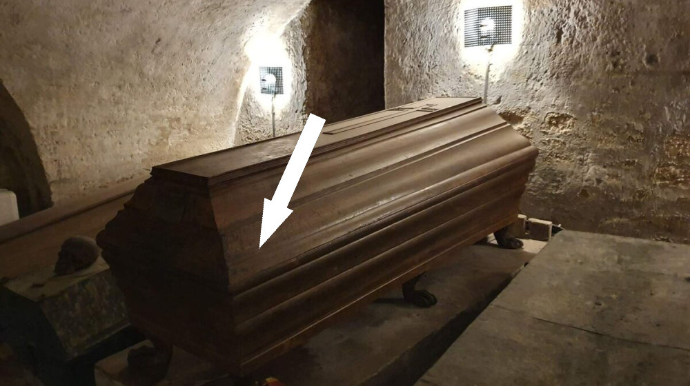    Мумии капуцинов открывают глаза и шокируют ученых в 2024 году