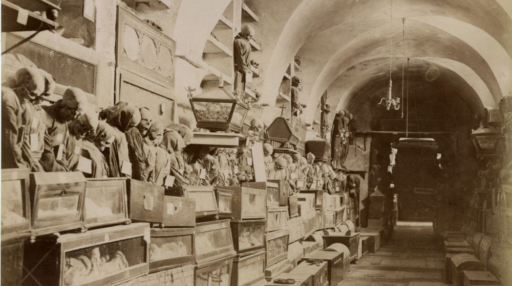    Мумии капуцинов открывают глаза и шокируют ученых в 2024 году