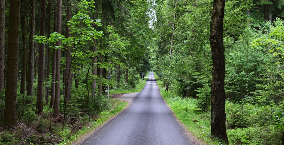    Фото: из открытых источников