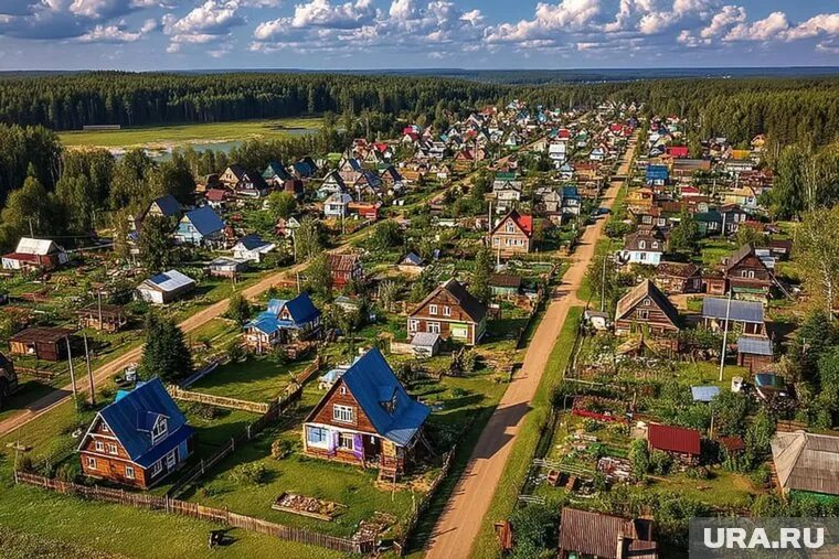 Глухой забор между соседями, коровы и шалфей запрещены на даче. Фото: Создано в Midjourney © URA.RU
