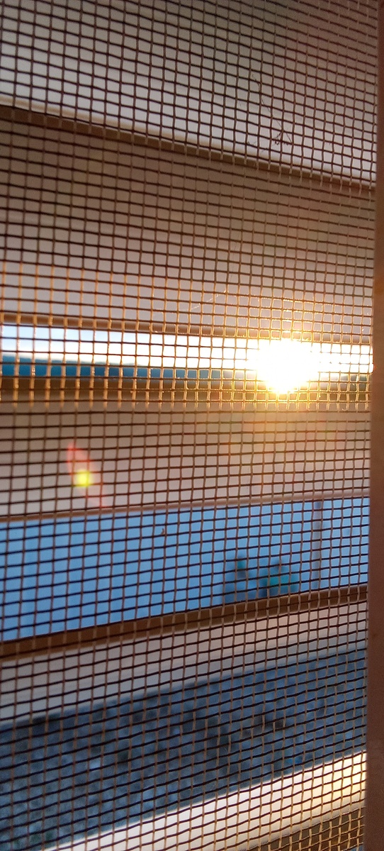 В Иране сажают.