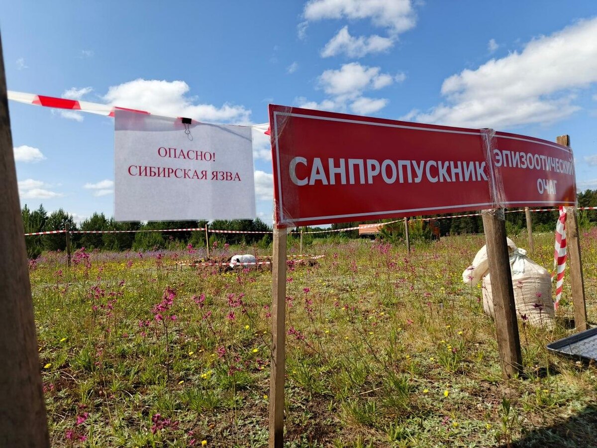    © Министерство здравоохранения Пермского края