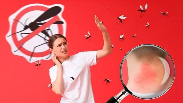 Опасные последствия комариных укусов и способы их избежать. Обложка © Коллаж © Life.ru, фото © Shutterstock / FOTODOM / Pixel-Shot, dimid_86