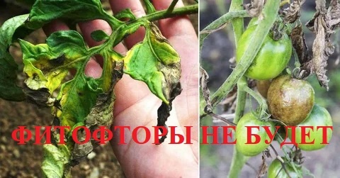 Проще предотвратить болезнь, чем потом её лечить