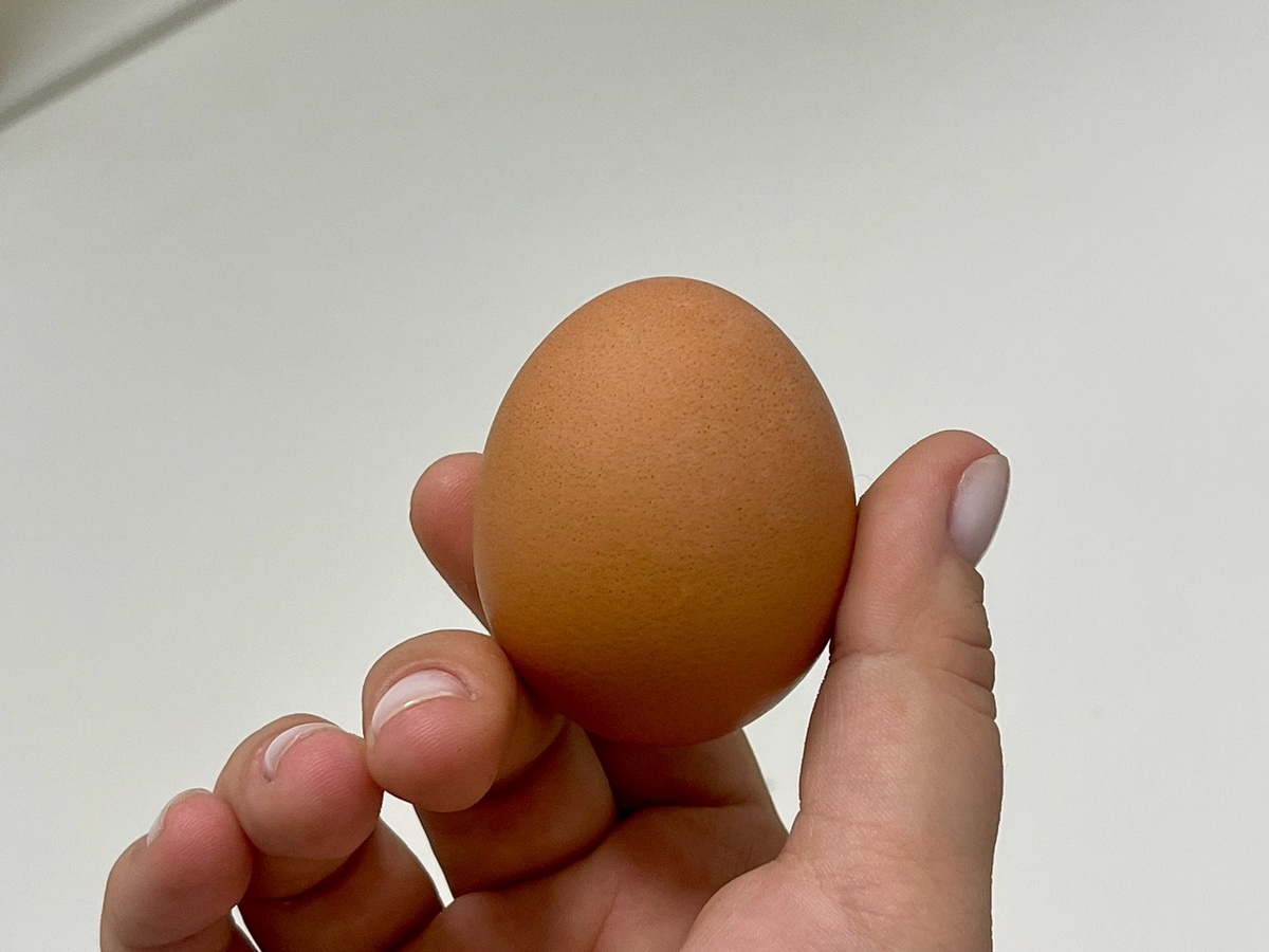    Фото: архив progorod