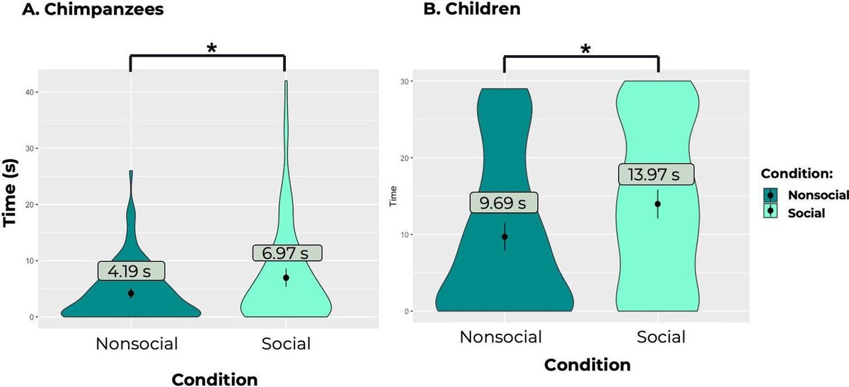    Количество времени (в секундах), которое (A) шимпанзе и (B) дети тратили на просмотр «социальных» роликов (светло-зеленый ящик) и «несоциальных» видео (темно-зеленый ящик), при этом испытания для шимпанзе длились одну минуту, а для детей — полминуты / © Laura Simone Lewis et al.