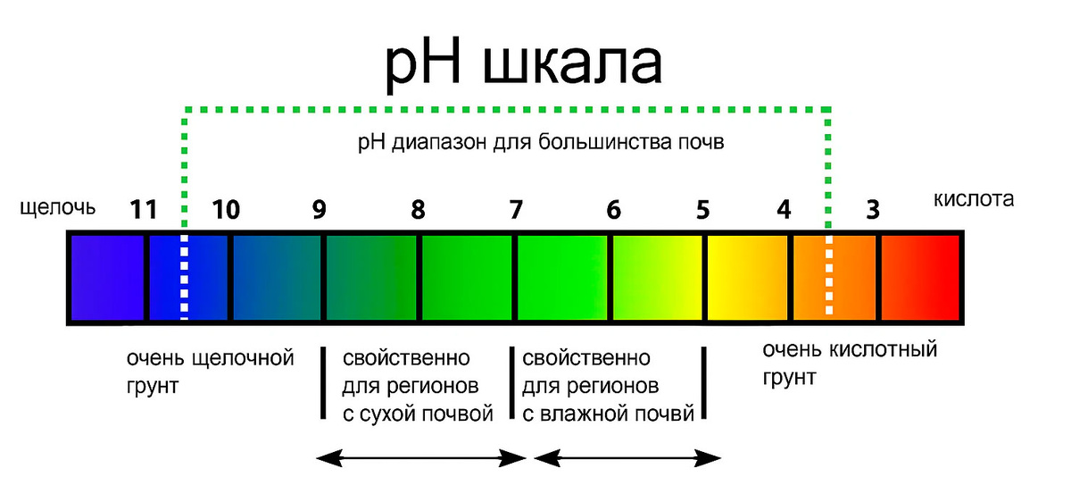 pH шкала для большинства почв