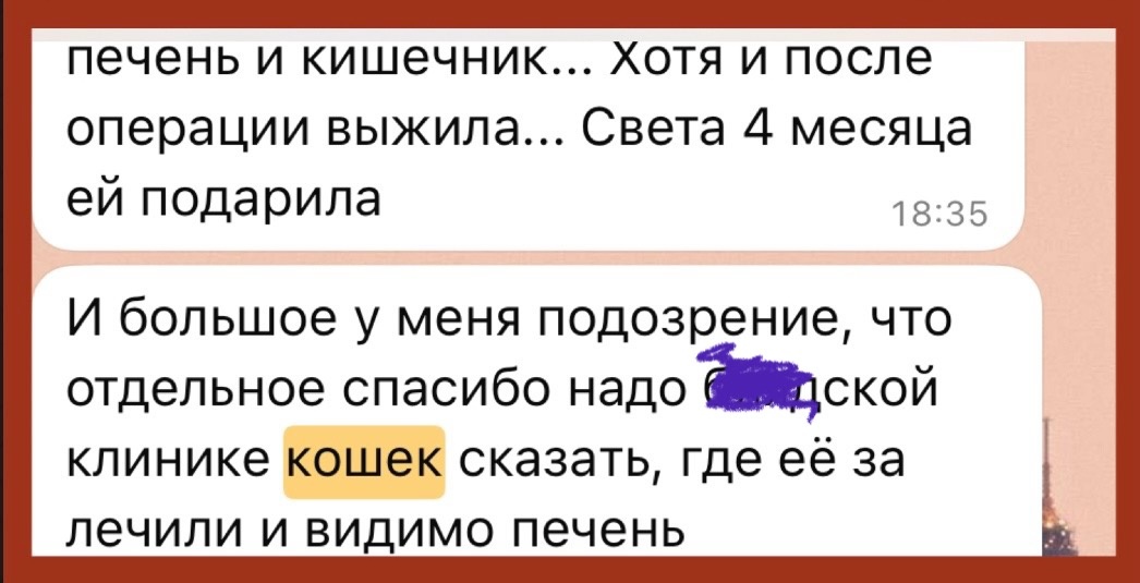 Скрин моего телефона 