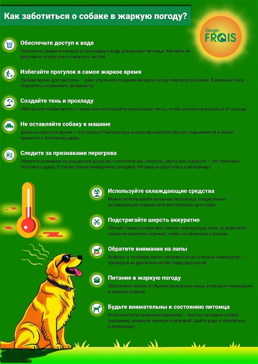 памятка заботы