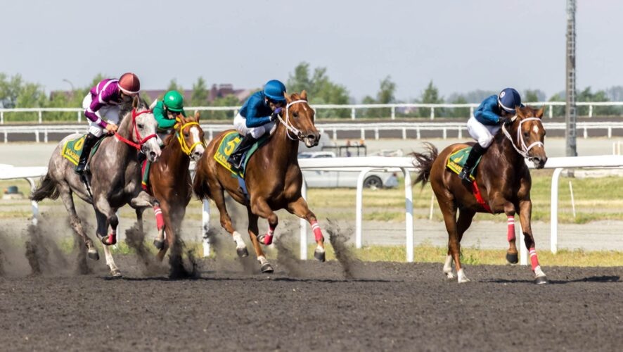    Фото: KazanFirst