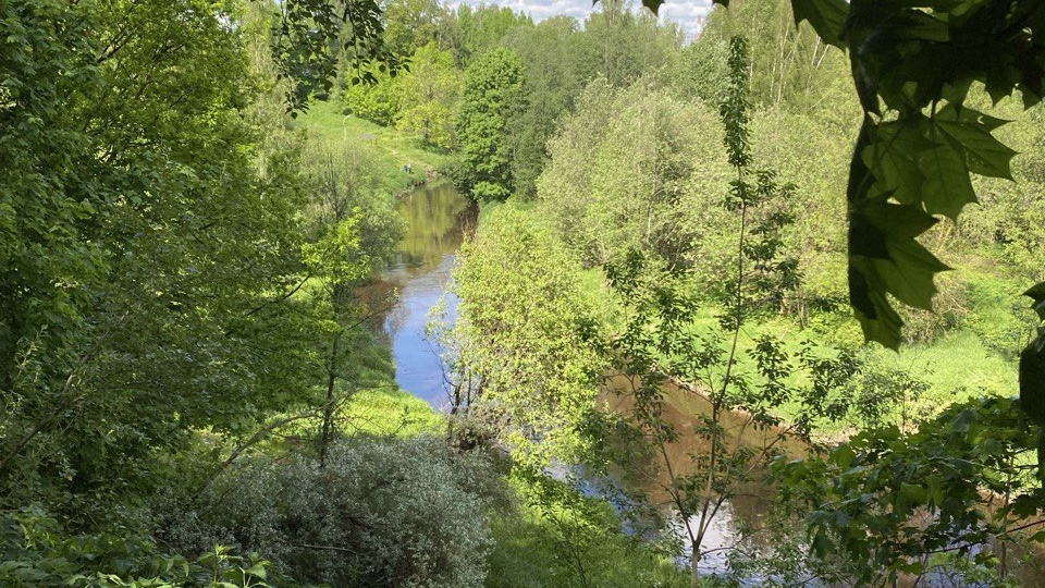 Жизнь в Санкт-Петербурге. Мурино - чем же он так не угодил людям