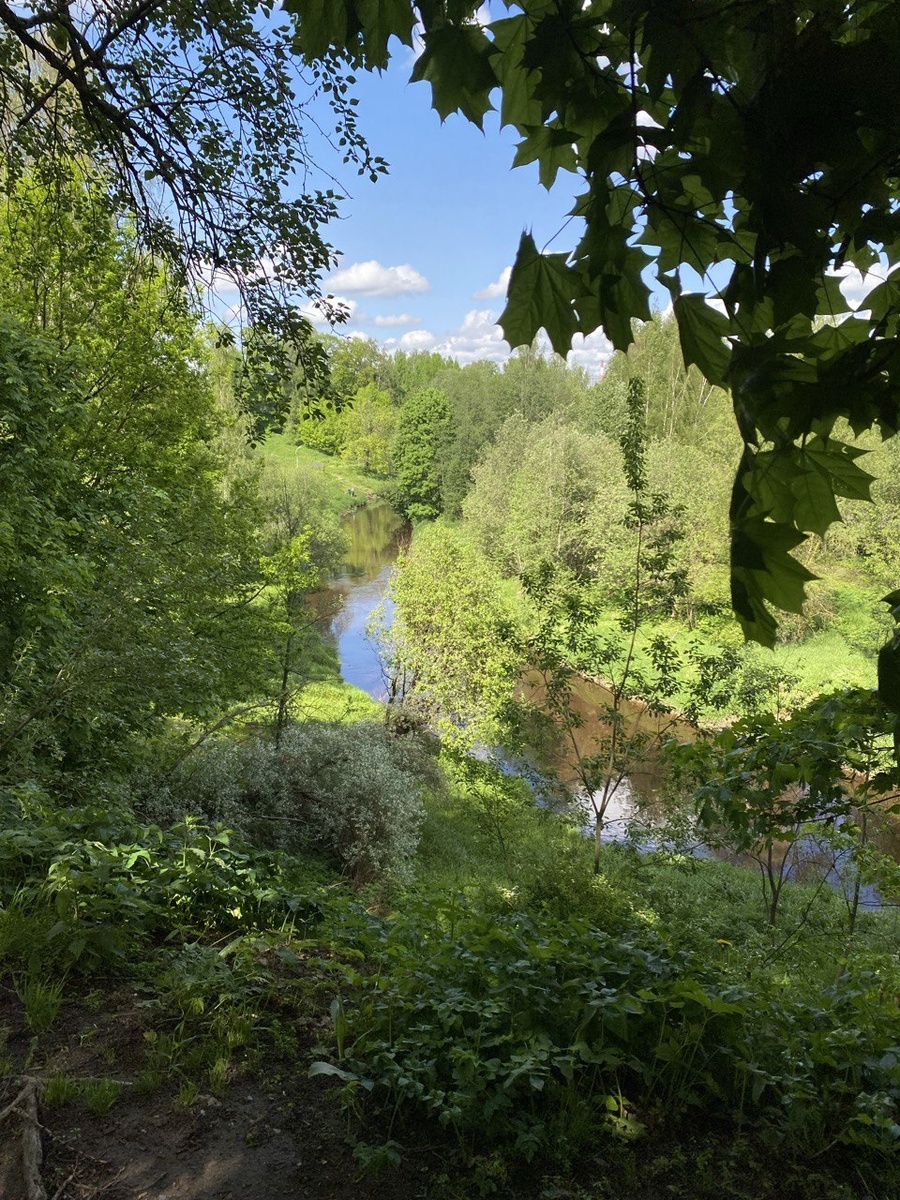 Парк в Мурино