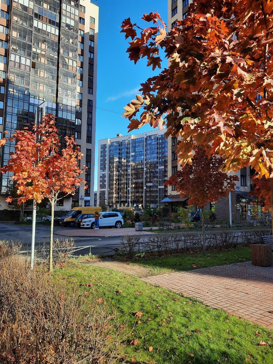 Улицы в новом Мурино