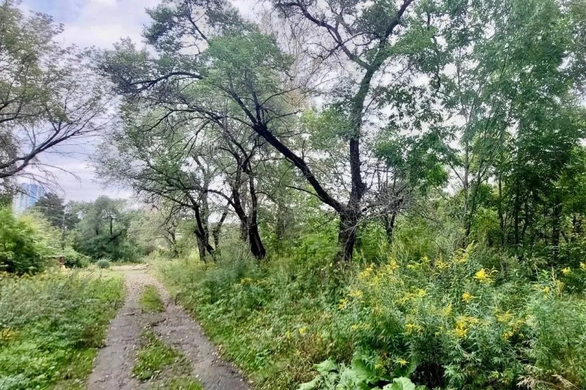    Хабаровчанин осуждён за присвоение муниципальной земли на 8 млн рублей