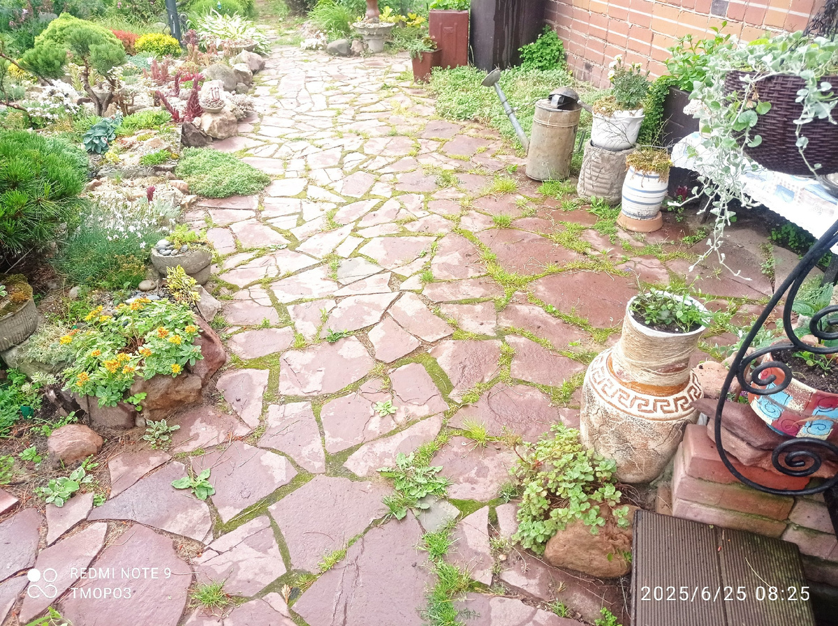 перед крыльцом