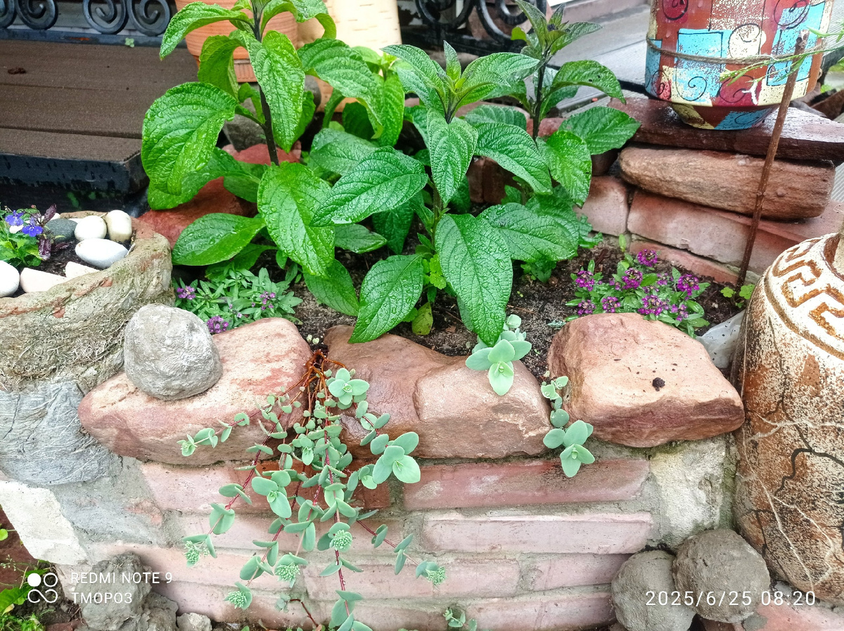 оформлние входа