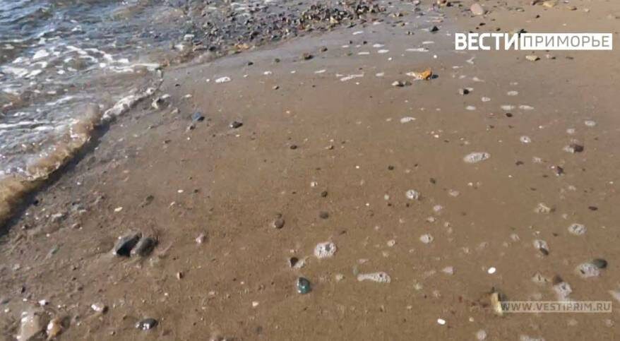    Источник фото: