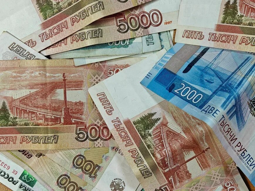    Фото: Юрий Серебренников/BFM Кубань