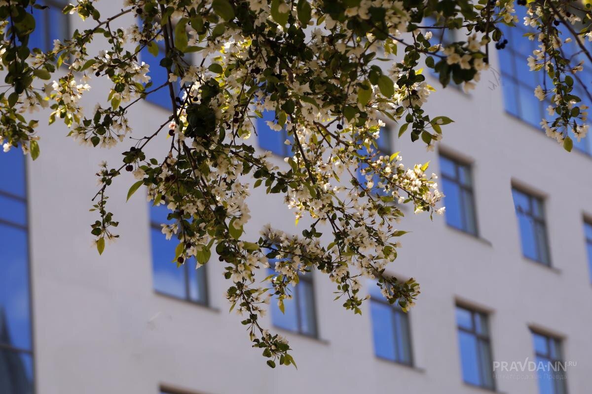    В городе преобладают панельные и кирпичные дома советского периода