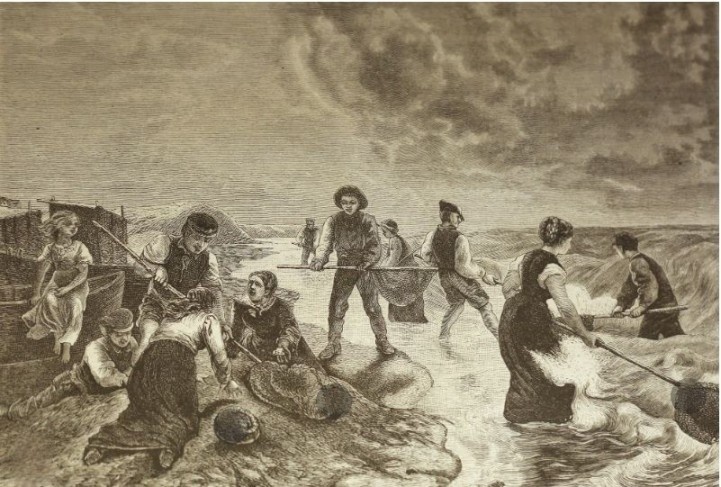 Ловцы водорослей, в них запутывался янтарь