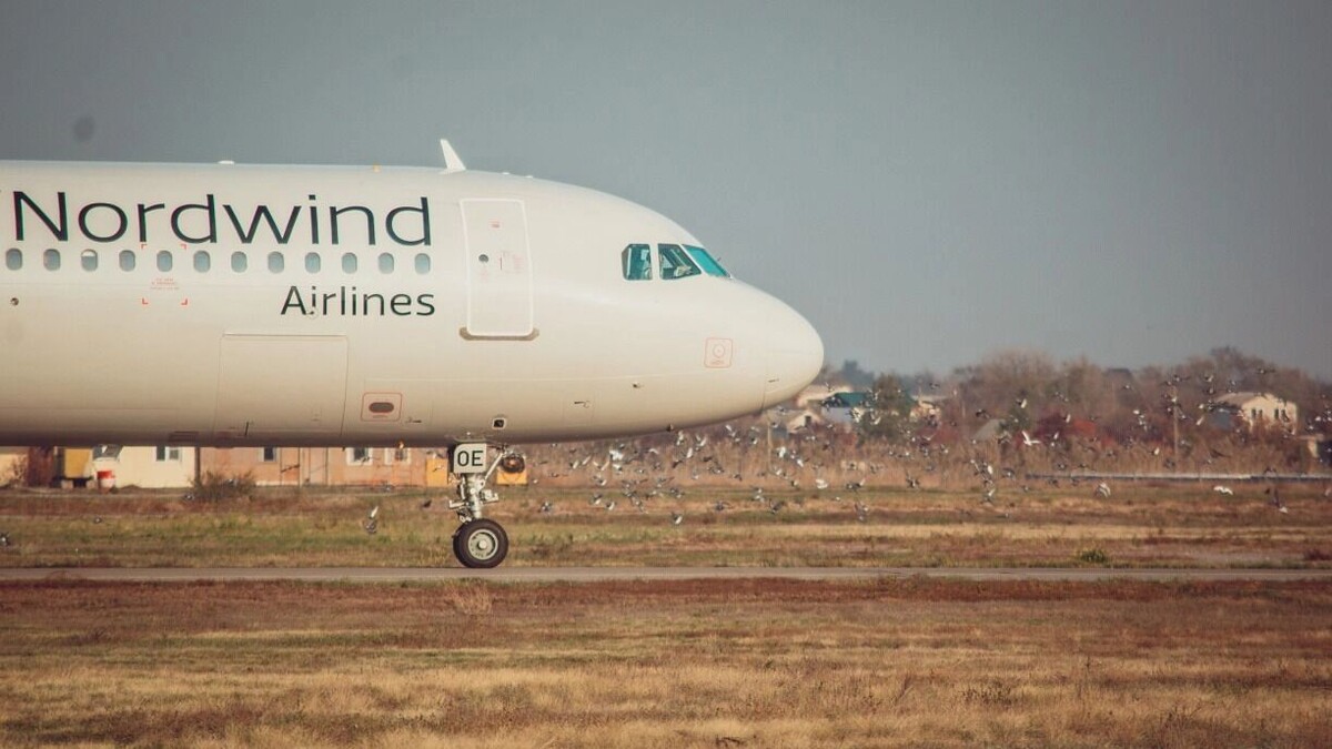     Источник: 1MI