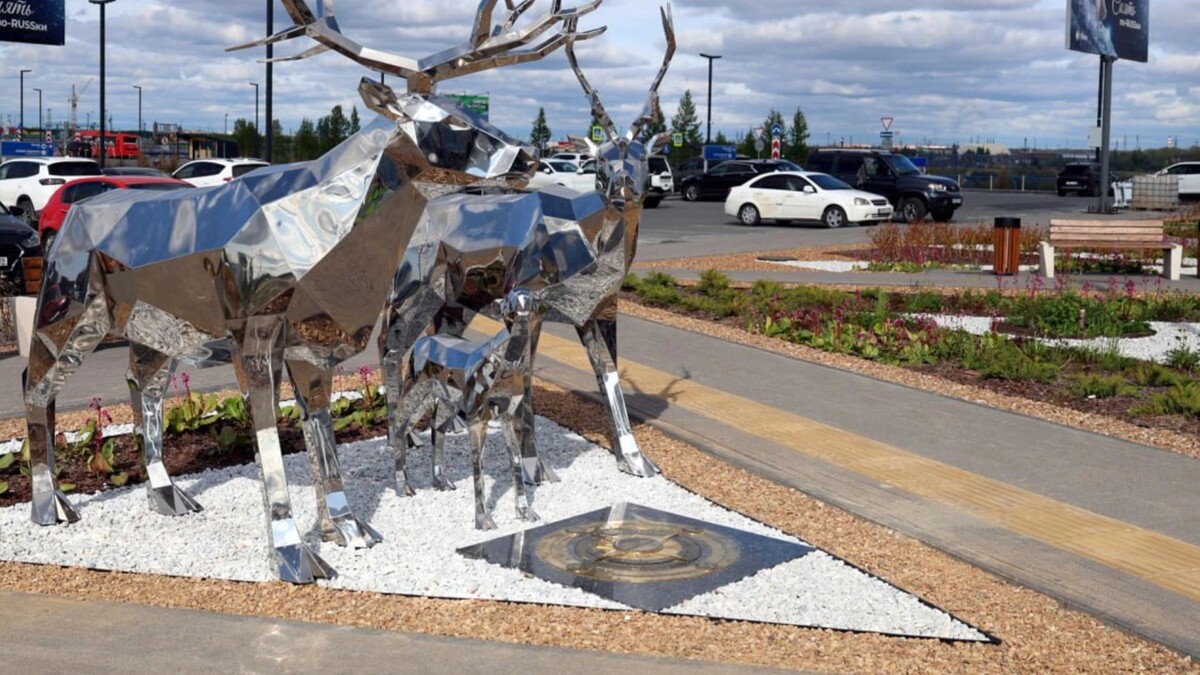    Фото: t.me/nuxaero