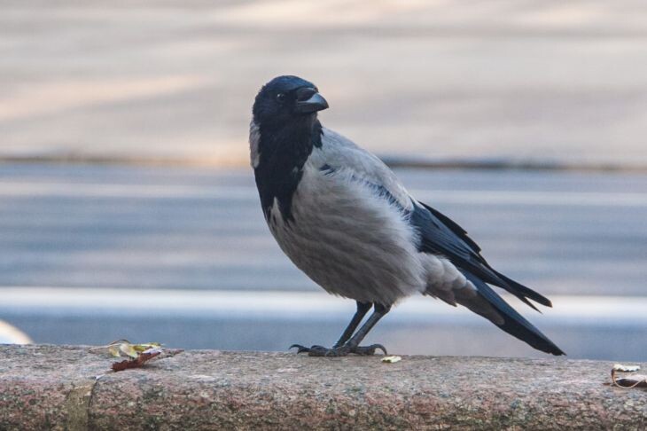 Фото: ТУТ НЬЮС