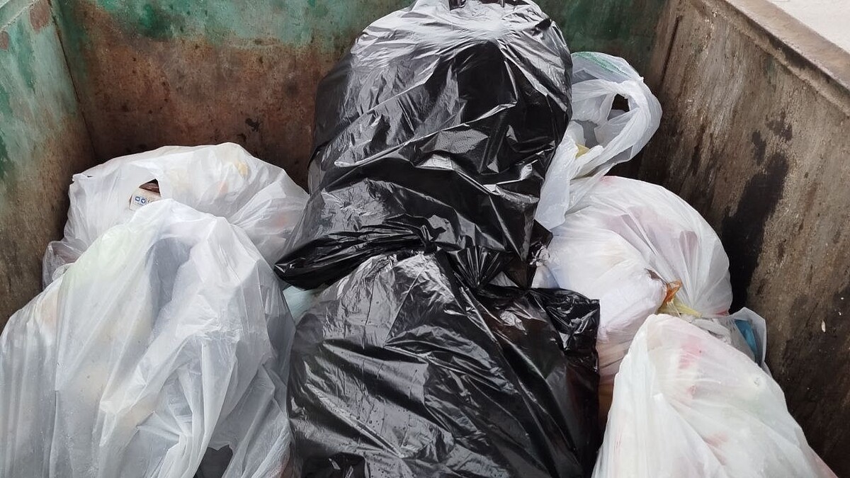    Фото: телеканал «Краснодар»