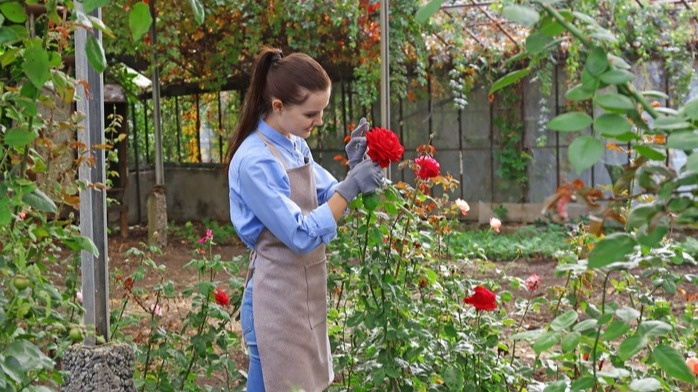 Правильный подсчет листьев - основа успешной летней обрезки