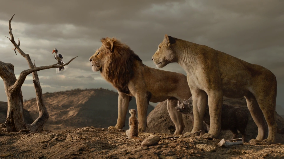 «Король Лев» (2019)