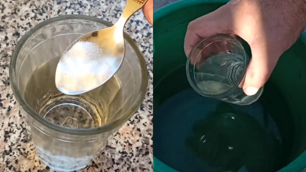 Правильно приготовленный раствор - основа успешной обработки