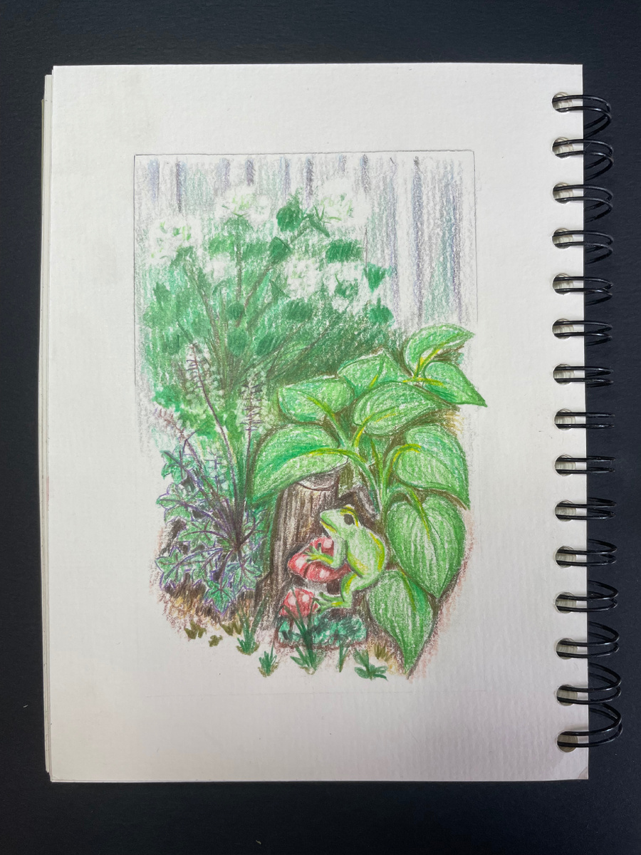 Мой первый «выход в пампасы»