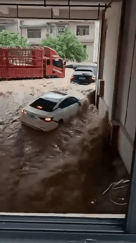    Видео: Zvezdanews