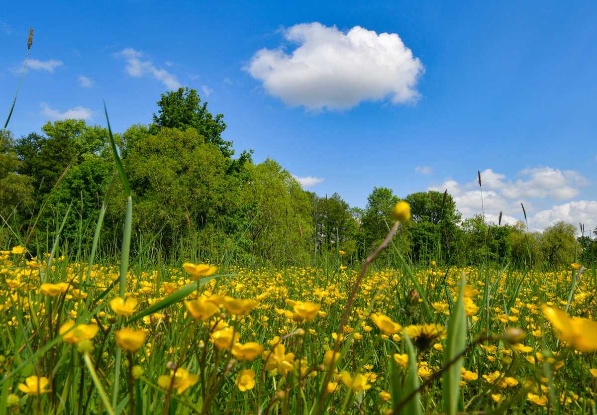 фото: Patrick Pleul/dpa/Global Look Press