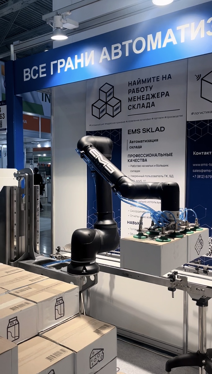 EMS Robot Робот паллетайзер 