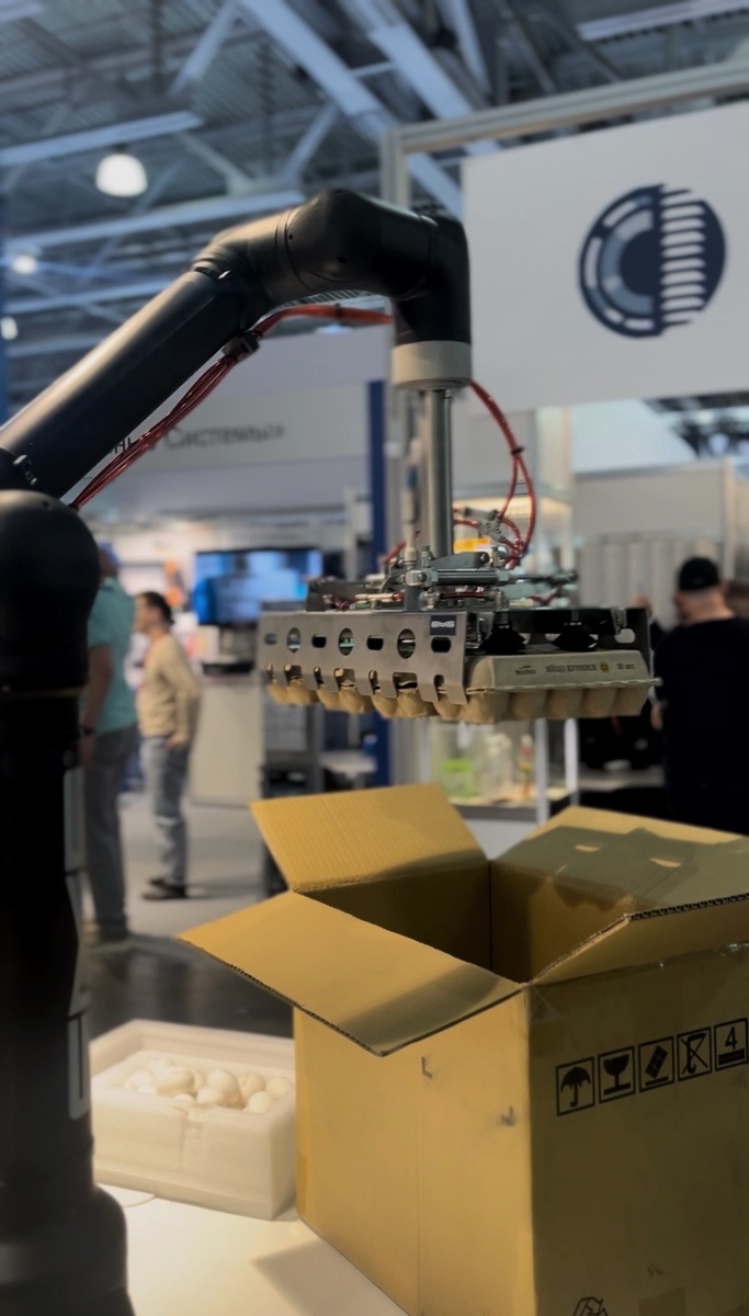 EMS Robot Робот внутритарной укладки