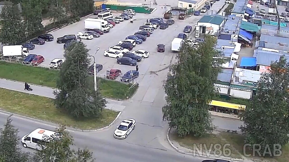     Источник: Типичный краб.Нижневартовск