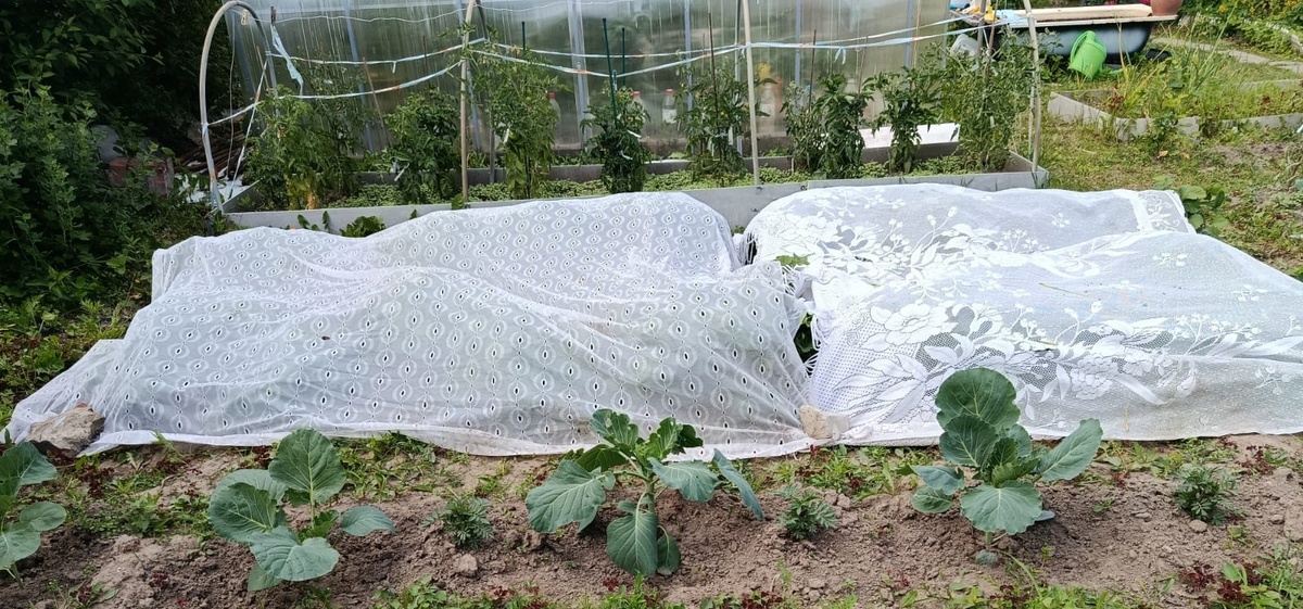 Когда солнечно вот так)