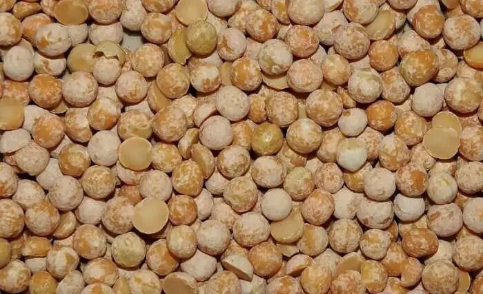 Лущильный горох