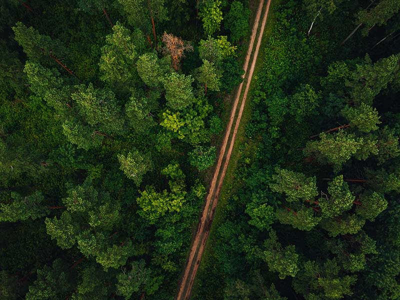 Фото: ru.freepik.com