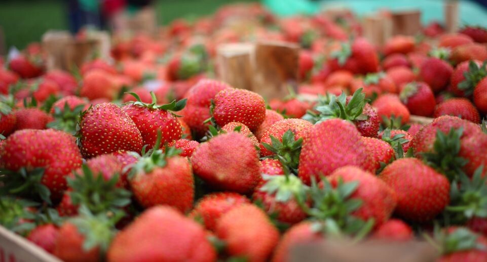    Медиасток.рф