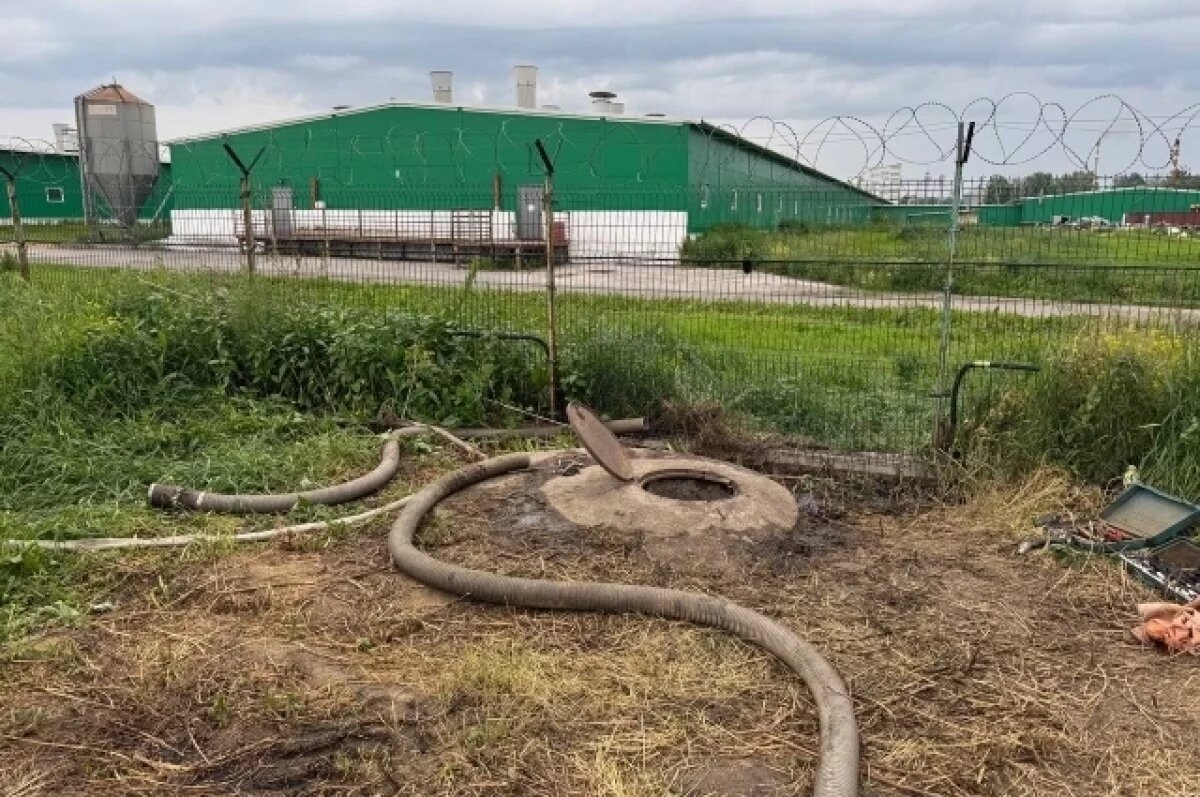    Сотрудники свинокомплекса самостоятельно пытались починить канализацию.