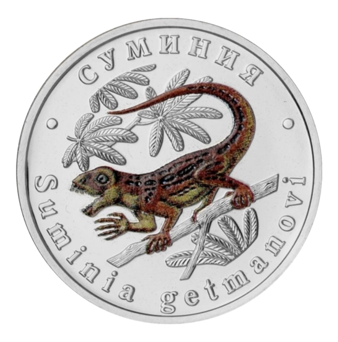 Лицевая сторона жетона