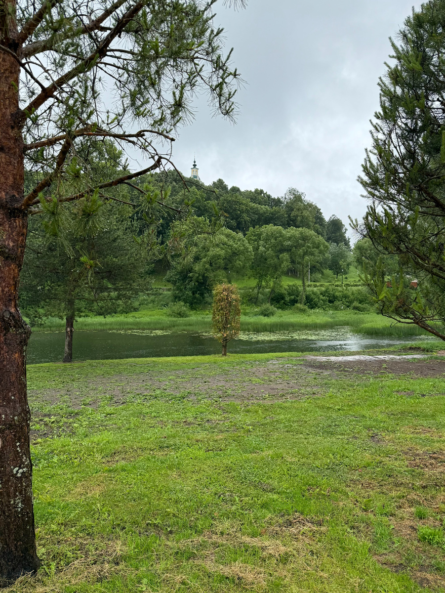 Фото автора канала. Верея.