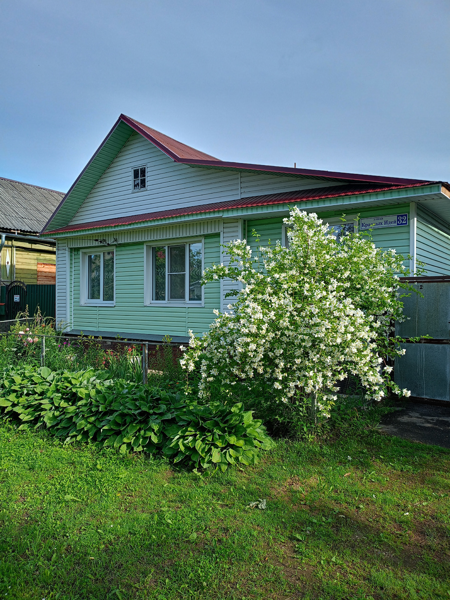 Цветет чубушник. Жалко, что у него нет такого аромата, как у настояжего жасмина. Там запах чувствуется аж за несколько десятков метров.