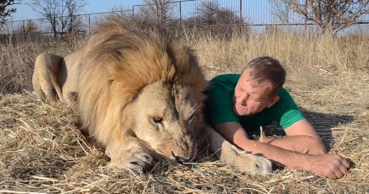 Источник https://media.360.ru/get_resized/ZCxeLxCMN5bli3BXmg-TswBs5sA=/1200x630/filters:rs(fill-down):format(jpg)/YXJ0aWNsZXMvaW1hZ2UvMjAyNS82LzIyMjIuanBn.jpg