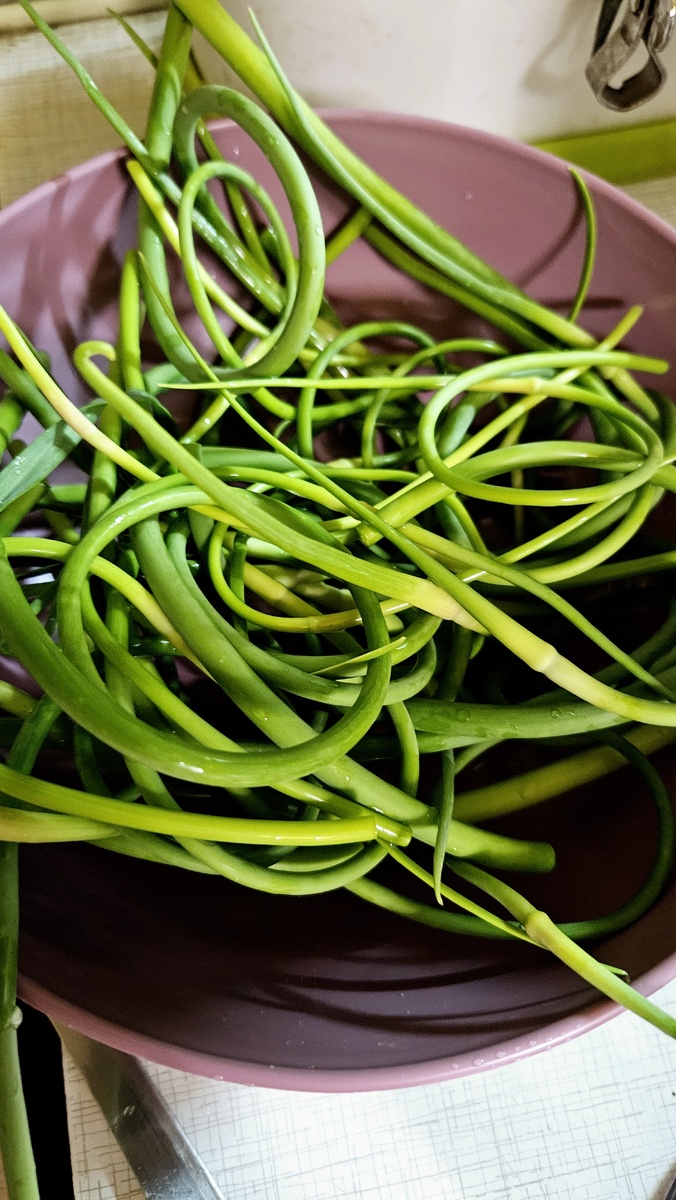 Чесночные стрелки , фото автора