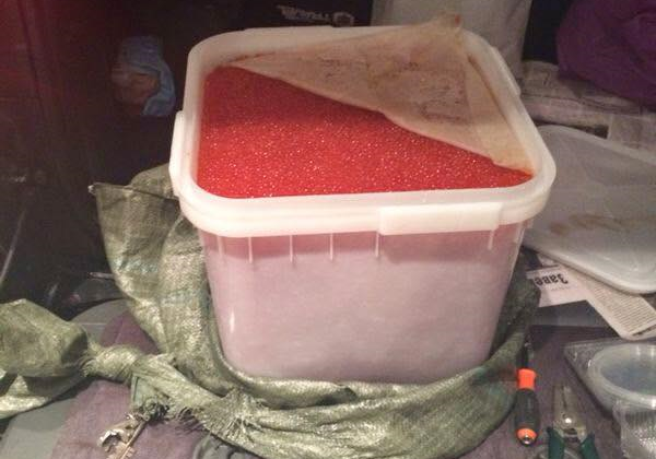 Прошедший год показал, что жители страны вполне могут обойтись без красной икры даже на Новый год / Фото: Vostok.Today